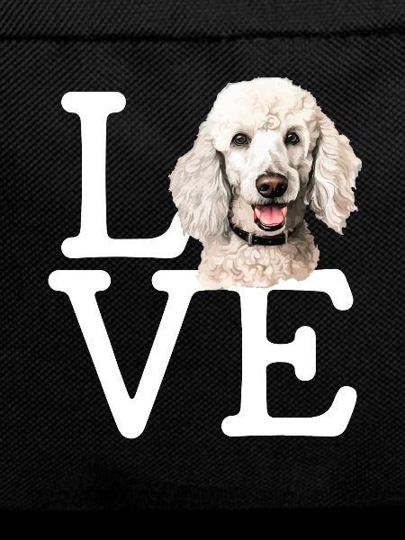 poodle dog