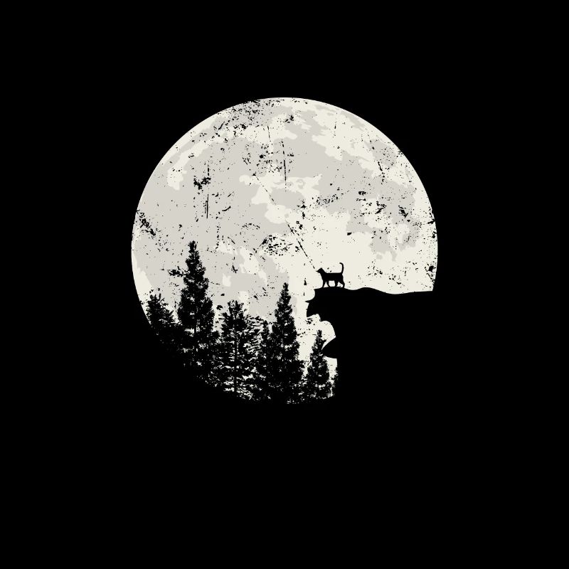 Cat in Moonlight Night Sky Crater