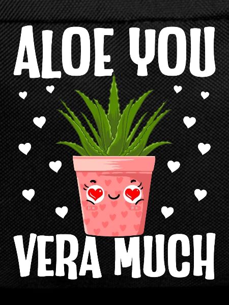 Funny Succulent Aloe Vera
