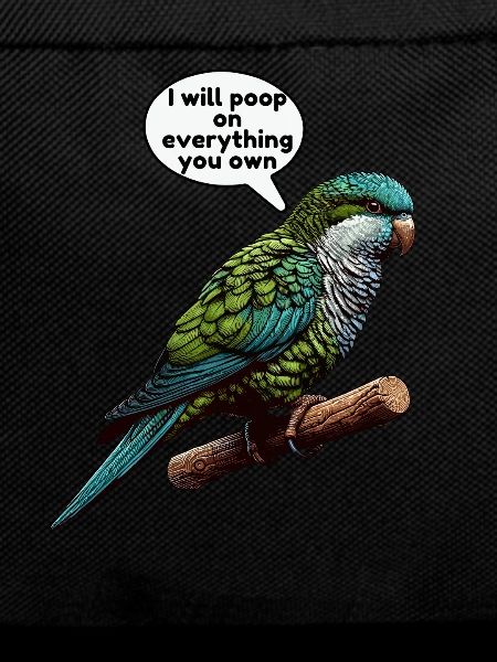 Quaker Parrot Monk Parakeet