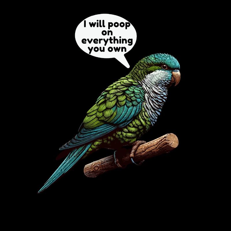 Quaker Parrot Monk Parakeet