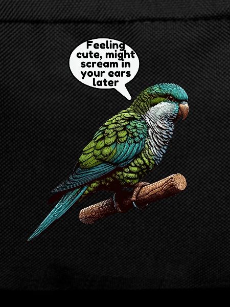 Quaker Parrot Monk Parakeet