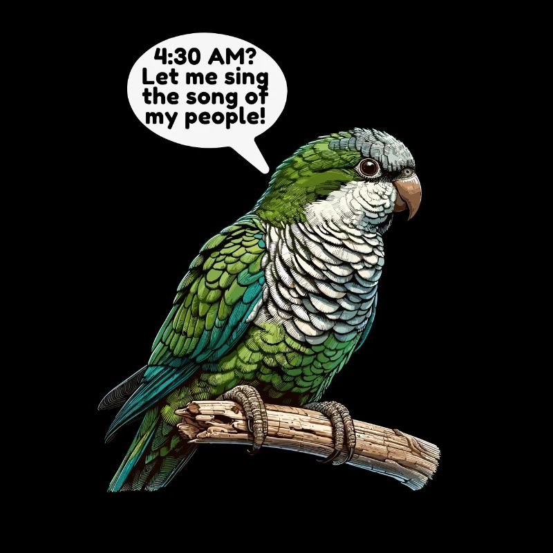 Quaker Parrot Monk Parakeet