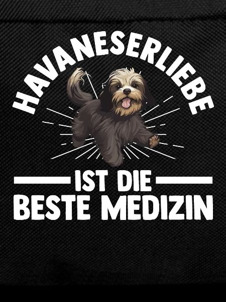 Hund Havaneser
