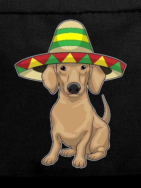 Dachshund Sombrero