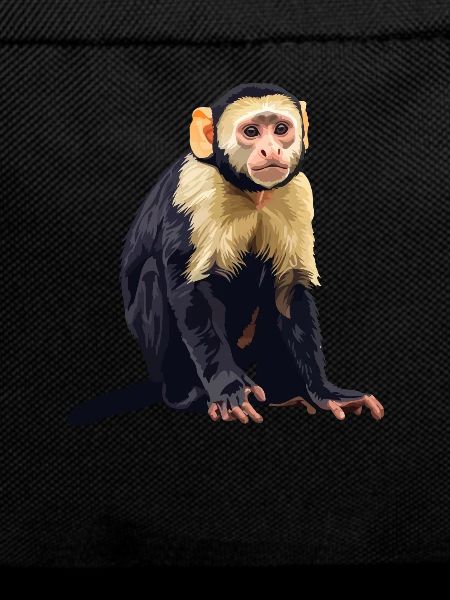 Capuchin monkey whisperer