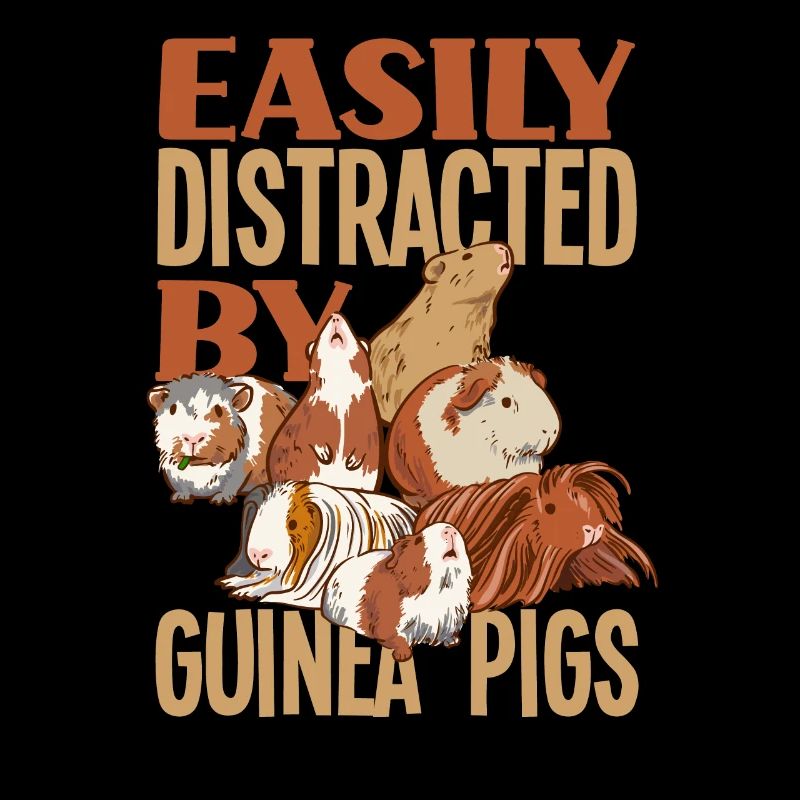 Guinea Pig Pet Animal