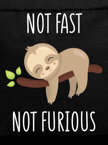 Not Fast, Not Furious