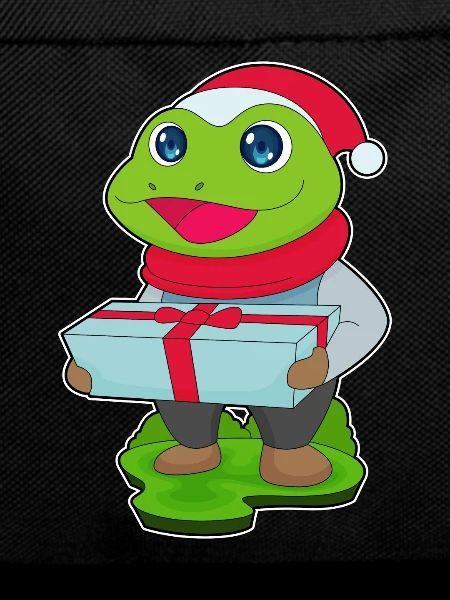 Frog Christmas Package