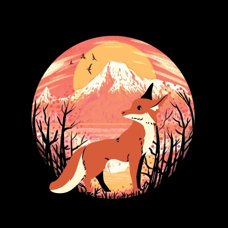 Fuchs Füchse Wildnis