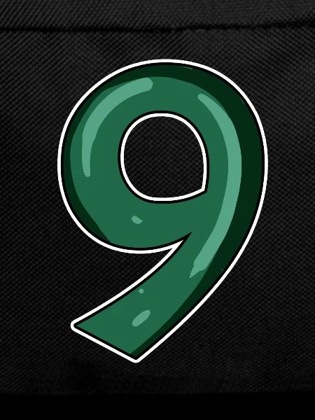 Graphique 9