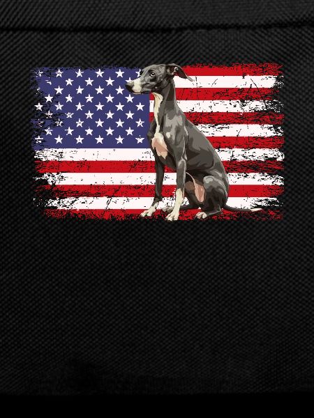 whippet dog American Flag