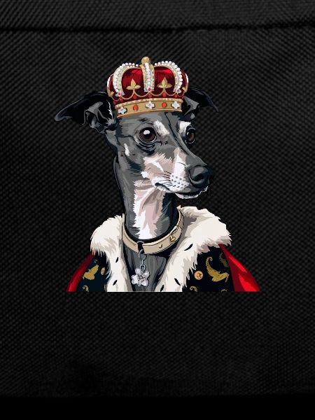Chien Whippet