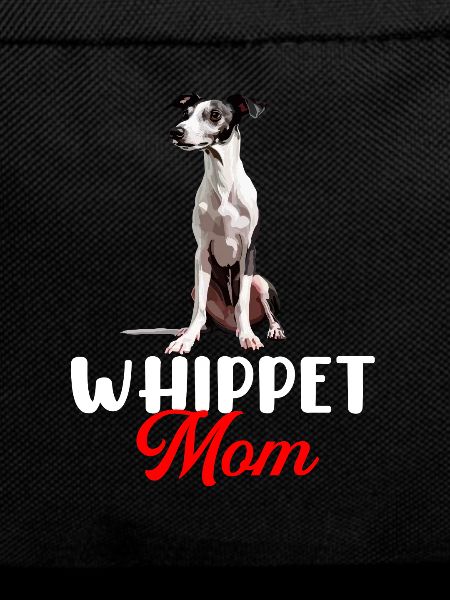 Chien Whippet