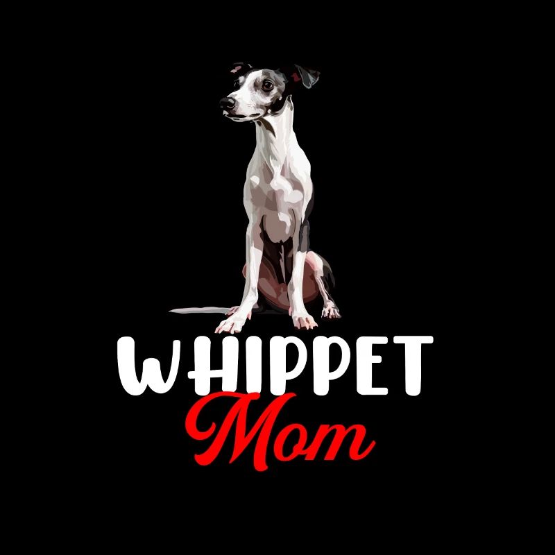 whippet dog