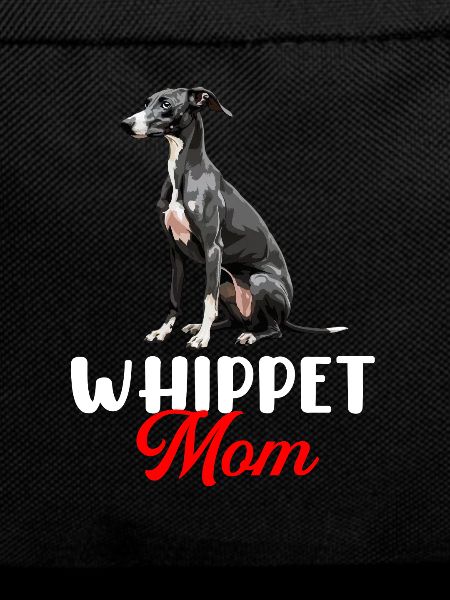 Whippet Dog
