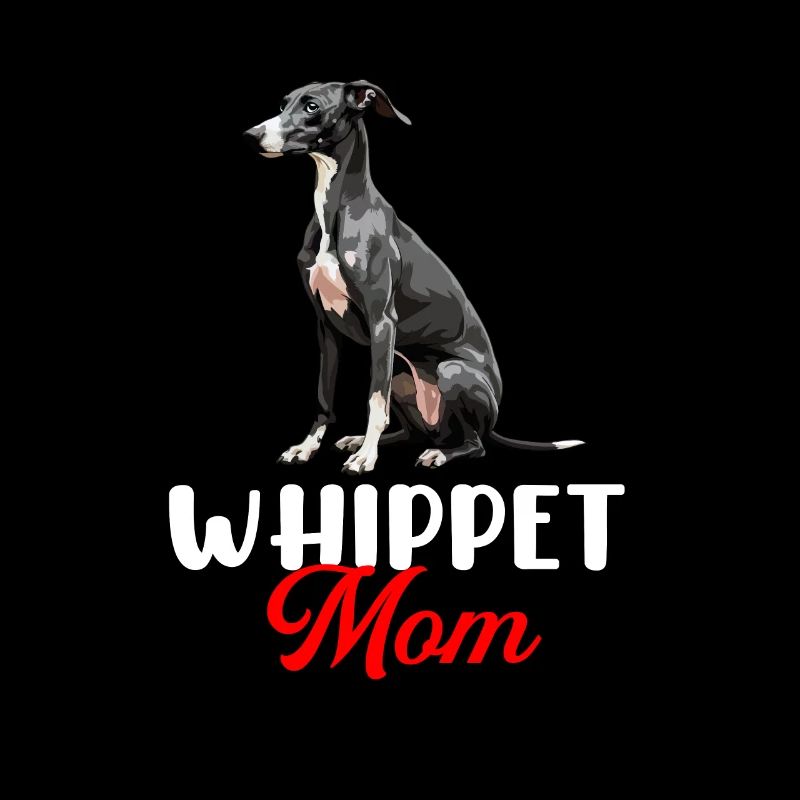 whippet dog