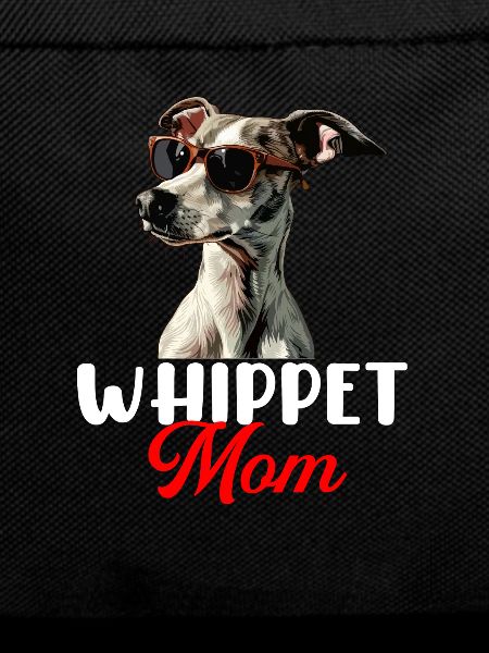Whippet Dog