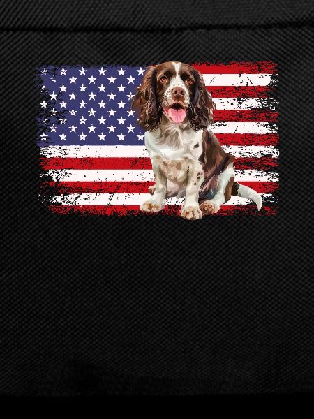Springer Spaniel
