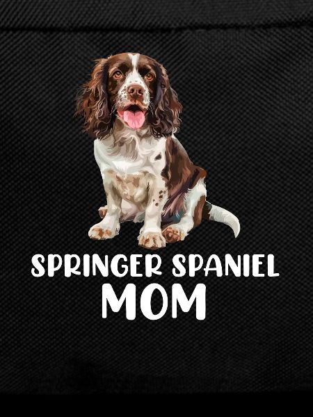 Springer Spaniel