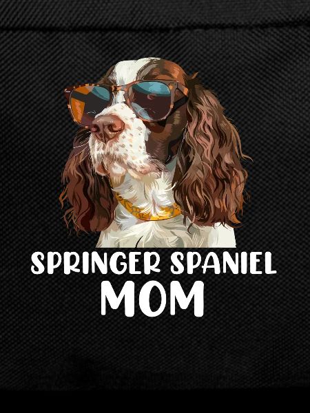 Springer Spaniel