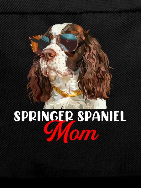 Épagneul springer