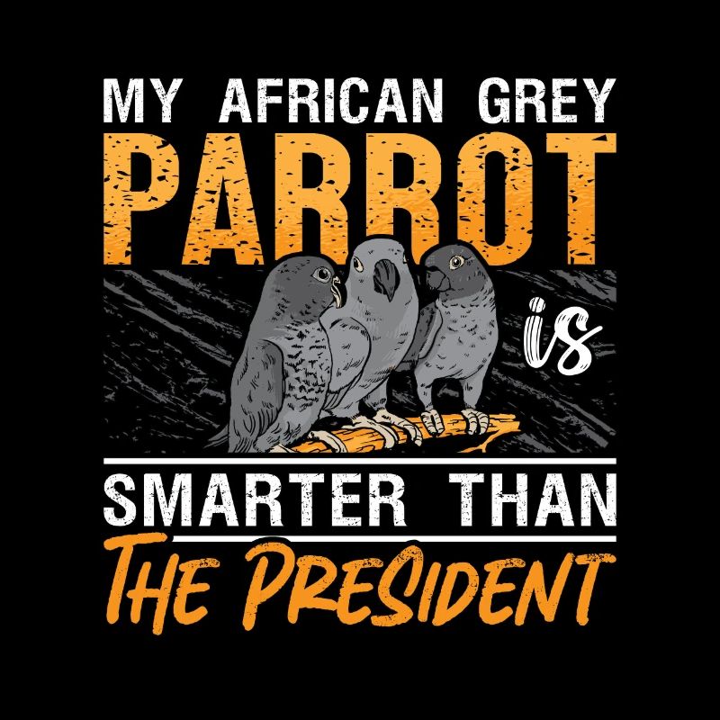 My African Grey Parrot Is Birdwatcher African Grey