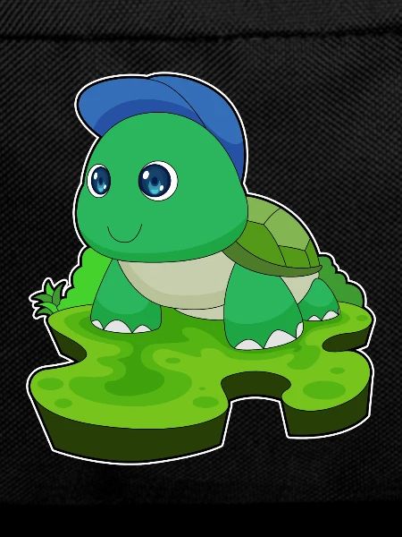 Tortoise Student Cap School