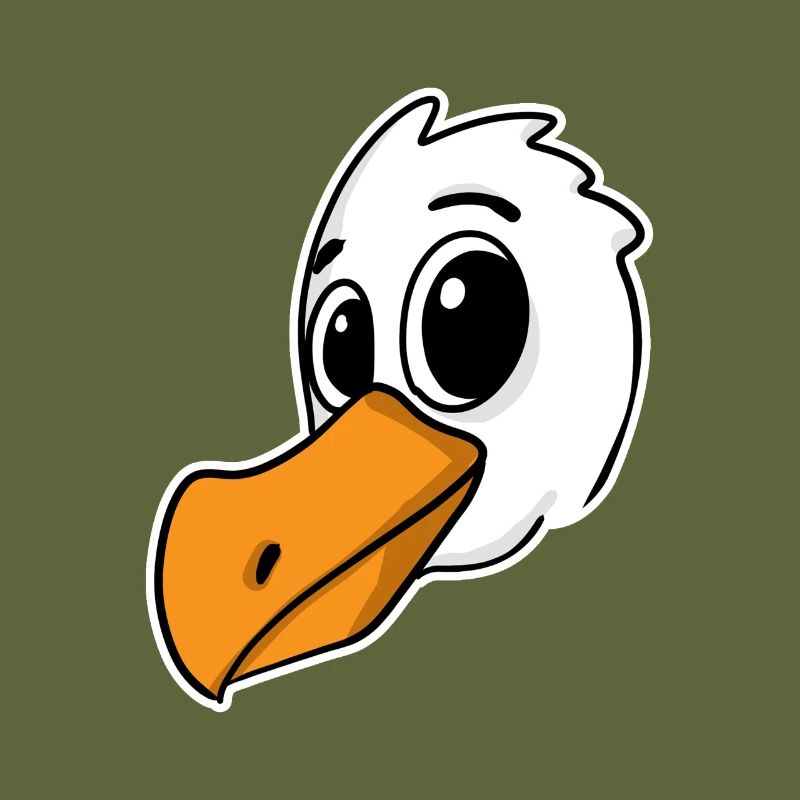 Oiseau Mouette Mer du Nord