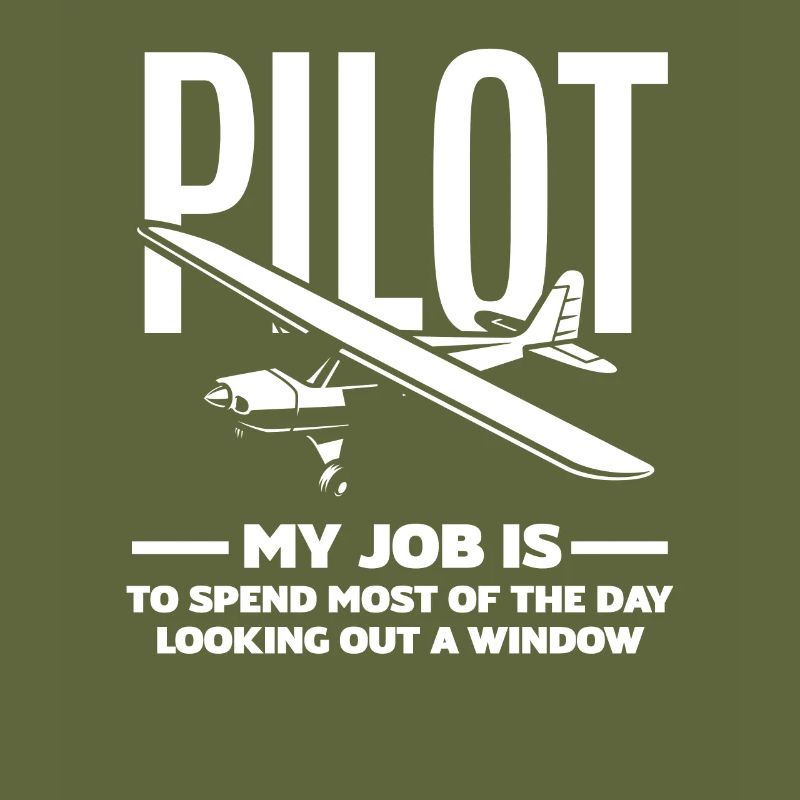 Pilot Professional Pilot Gift Flight School