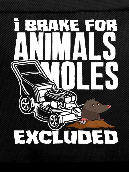 Landscaper Lawn Mowing Mole