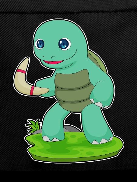 Turtle Boomerang