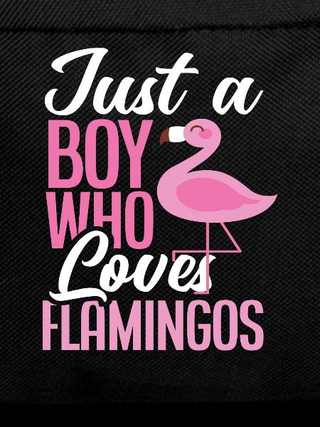 Flamingo Boy Loves Animal