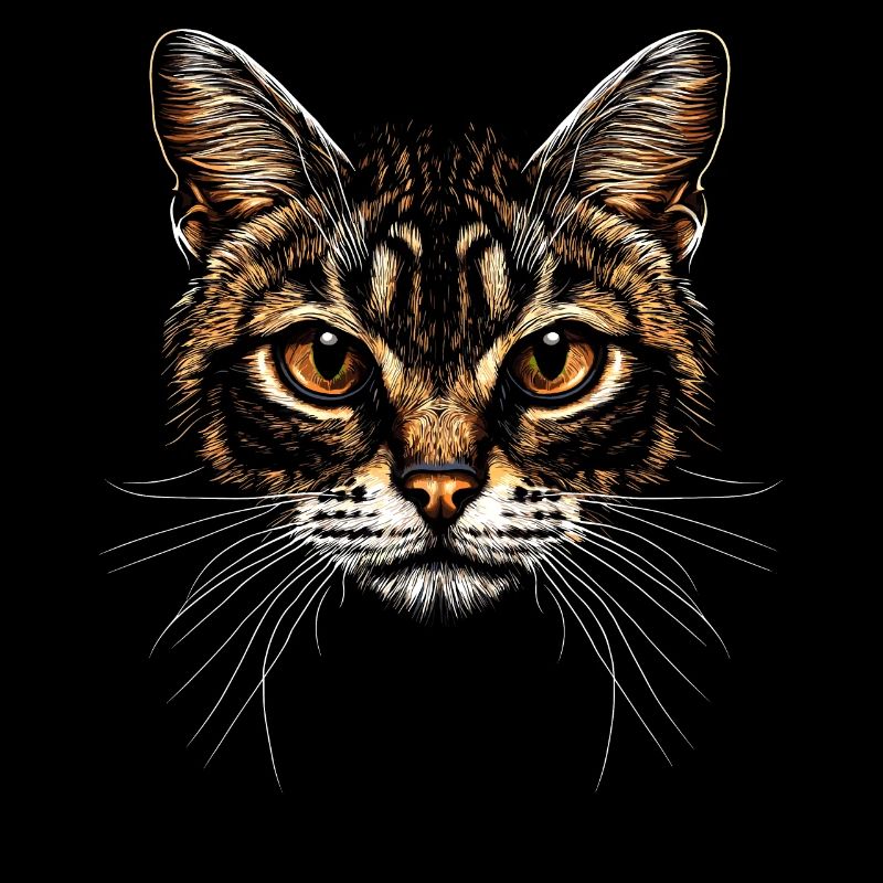 Bengal Katze Leopard Cat Leopardette Bengal Katzen