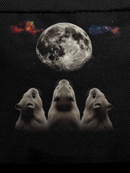 Guinea Pig Pet Howling Moon