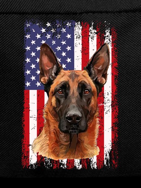 Belgian Malinois