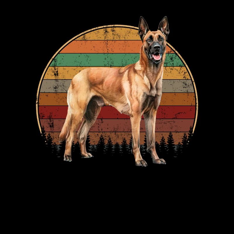 Belgian Malinois