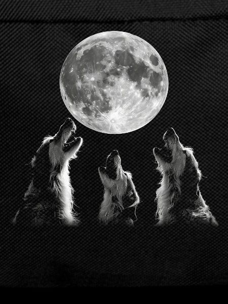 Irish Wolfhound Dog Howling Moon