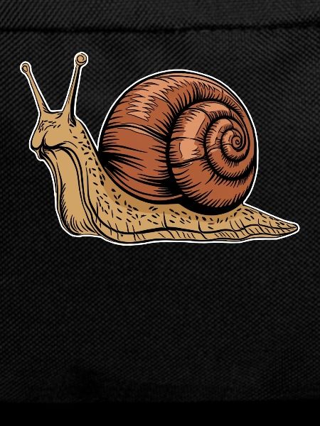 Snail Animal Graphic Illustration