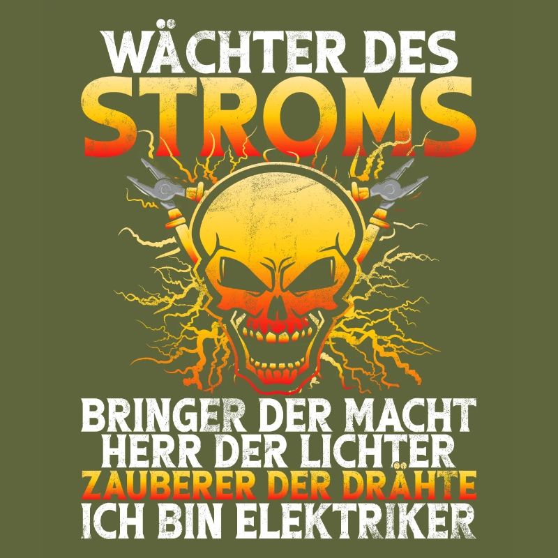 Electronics Technician Electrics Profession Volt Electrical Engineering