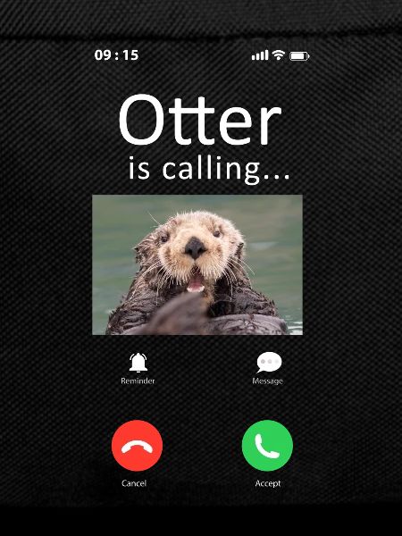 Otter Phone Display Otter Is