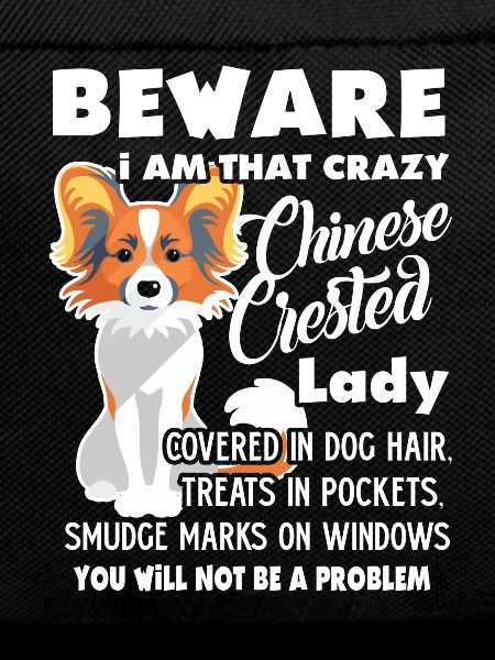 Chinese Crested Lady
