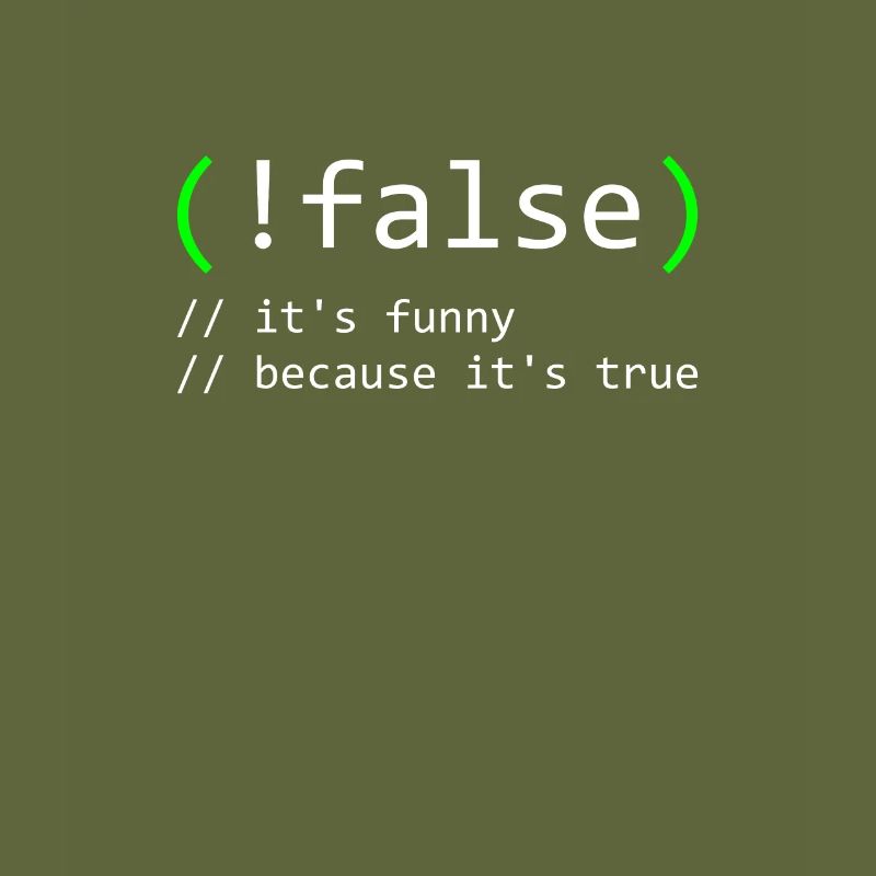 Programmer Humor false true funny Nerd Geek