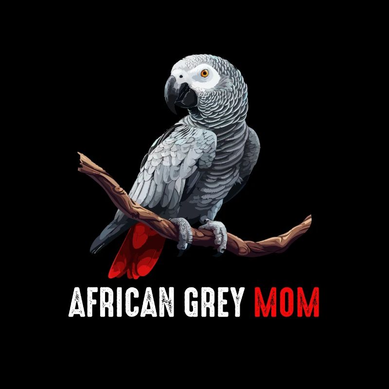 african grey parrot
