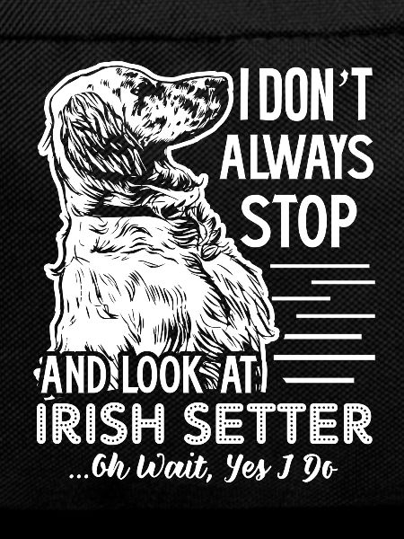 Look At Irish Setter