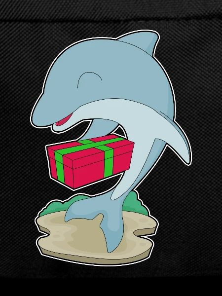 Dolphin Christmas Package