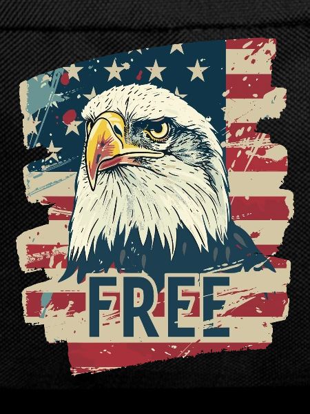 American flag with eagle