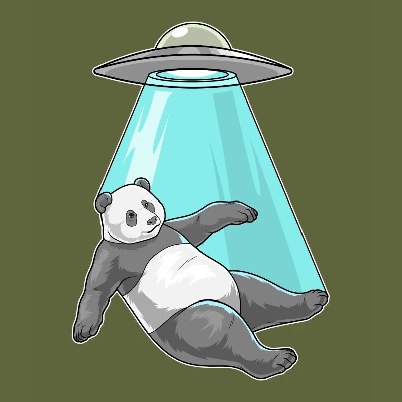 Panda Raumschiff