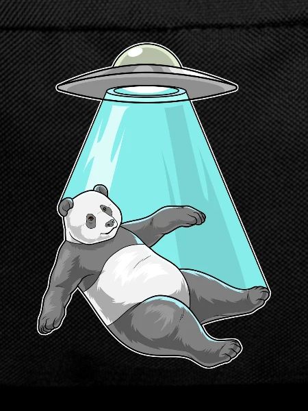 Panda Raumschiff Weltraum