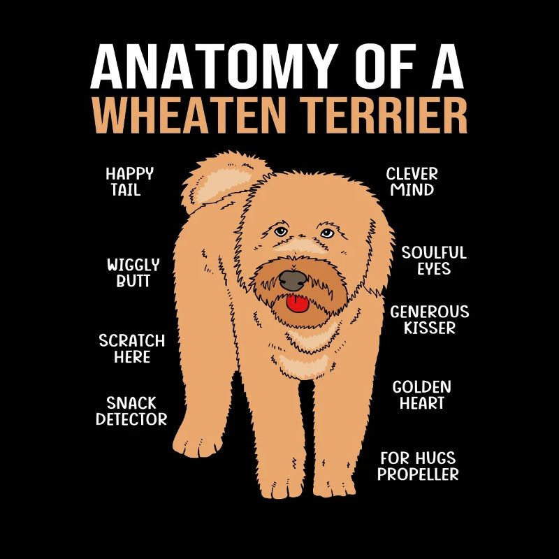 Wheaten Terrier